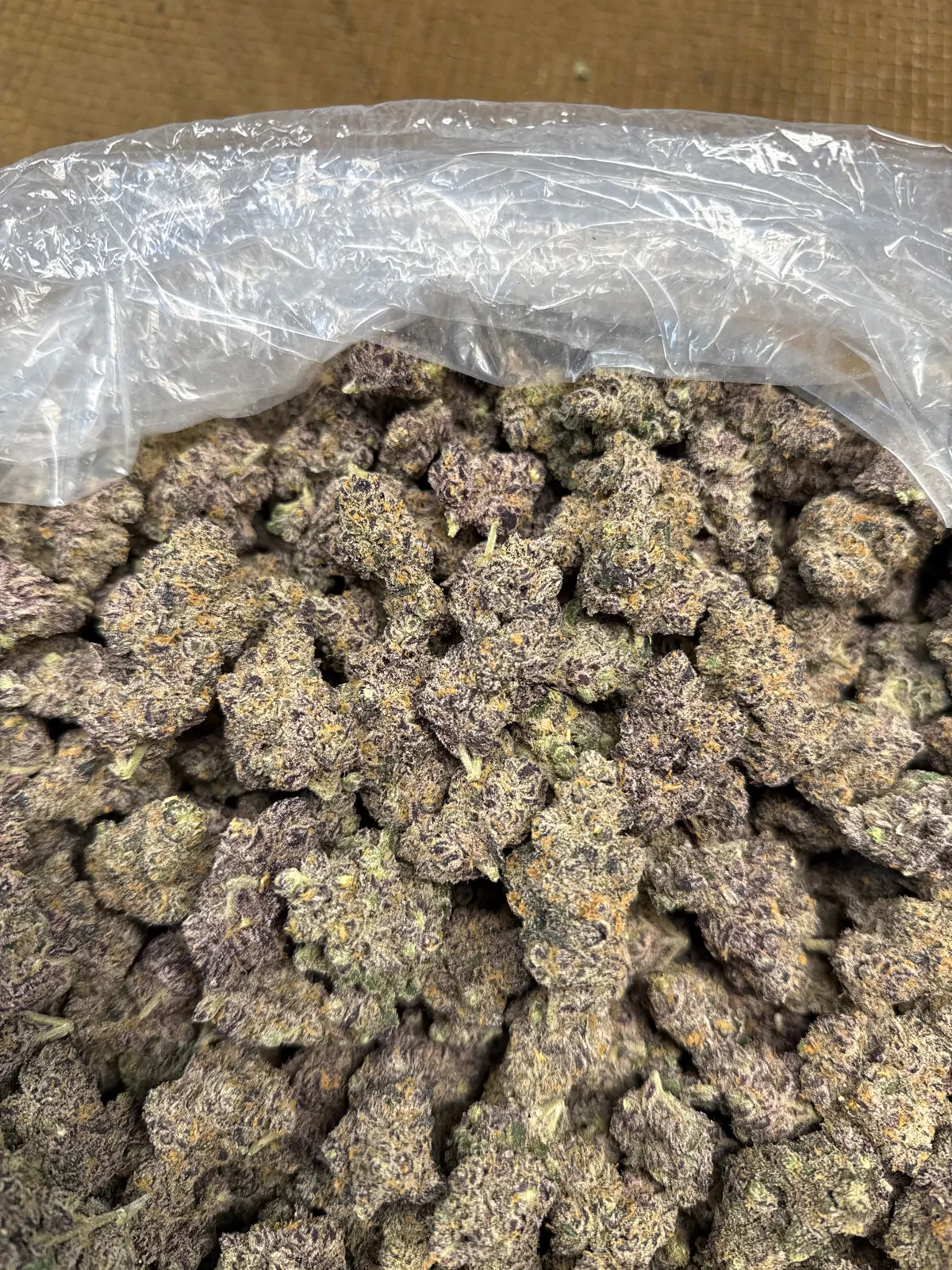 Blueberry Pancakes Flower